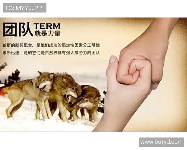 武汉滑板队的默契配合与团队精神探讨